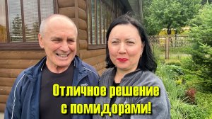 Муж делает стол, я придумала как подвязать помидоры!