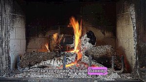 Истории из жизни | Аудио рассказы | СВЕКРОВЬ ВЫГНАЛА НЕВЕСТКУ С СОБСТВЕННОГО  | Жизненные истории