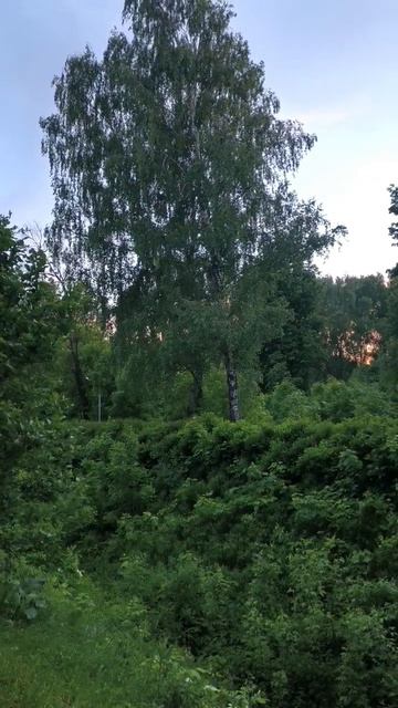 Зеленый овраг. Парк обороны Тулы