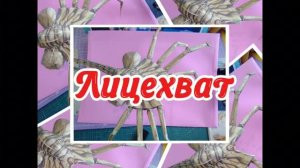 Лицехват из фильма «Чужие» из бумаги своими руками