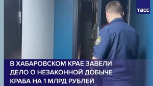 В Хабаровском крае завели дело о незаконной добыче краба на 1 млрд рублей