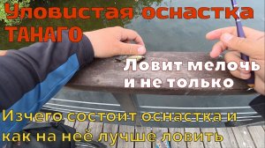 Уловистая поплавочная оснастка ТАНАГО, по мелкой рыбе и не только. Из чего состоит, как и что ловить