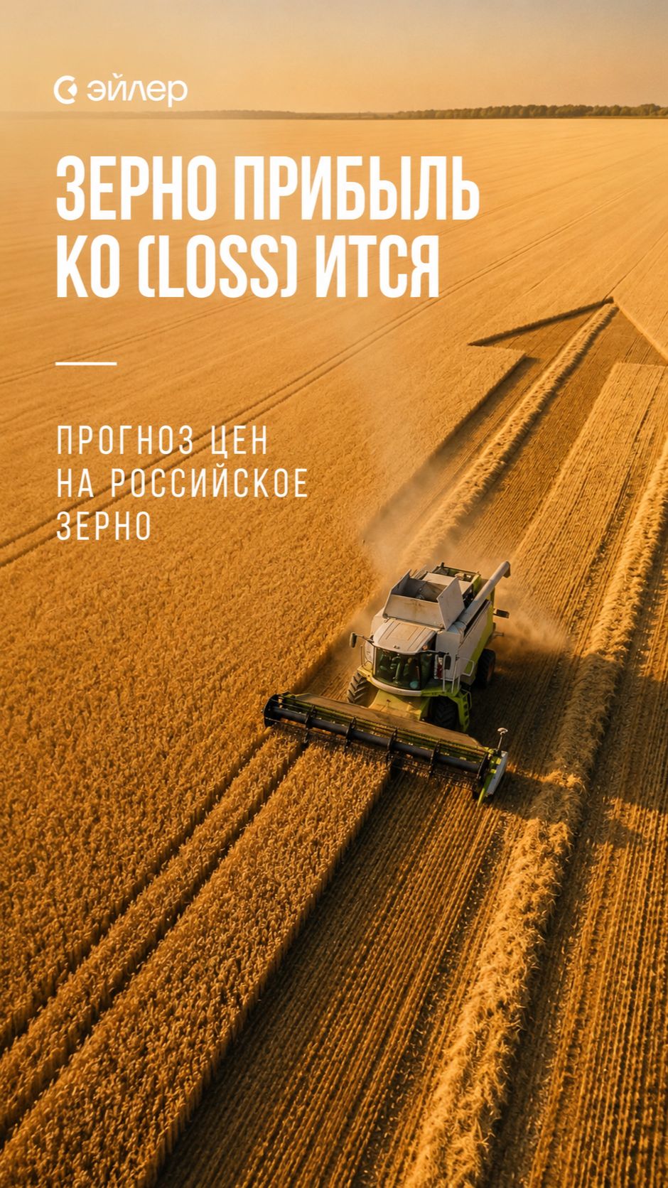 Прогноз цен на российское зерно
