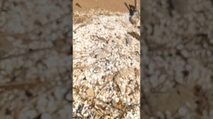 треш в кучугурах##--__-_-_()/
беспилотники наполняют море