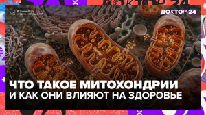 Почему тяга к сладкому и хроническая усталость — признак разрушения митохондрий | Доктор 24