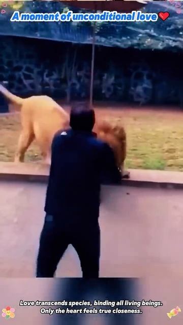 Такой искренней радости и любви у людей-то не часто увидишь 🤗