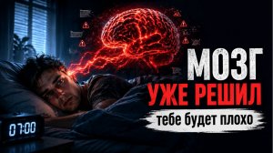 Мозг-предсказатель: почему тебе плохо без повода