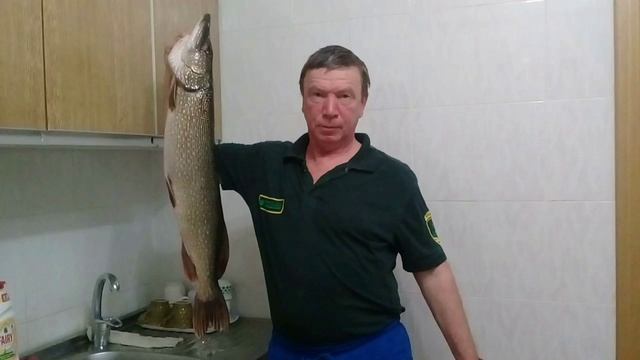 65 лет 2026г. смотреть онлайн