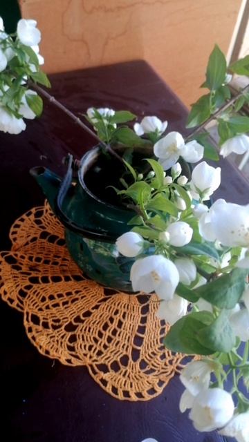 Отдыхающее, музыкальное, цветочное🤩