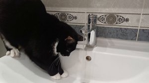 Сам решу, когда нужна вода))
