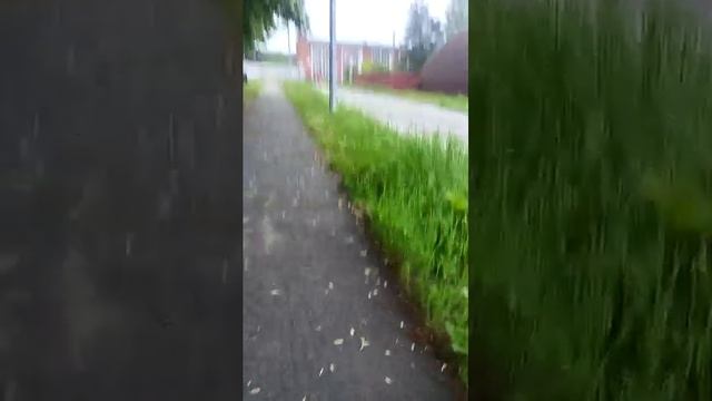 вечерний стрим
