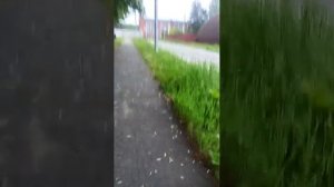 вечерний стрим