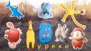 Учим животных для детей у реки: носорог, слизень, курица, акула, краб, коала