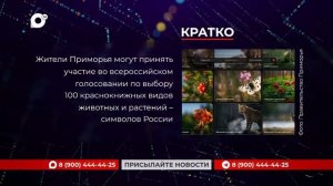 Кратко / 10.06.26