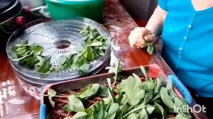 домашние дела в домашнем быту