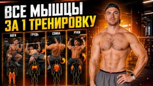 Тренировка в зале для роста мышц: полный комплекс упражнений