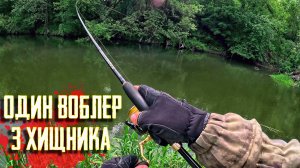 🔴 ХЕТ ТРИК НА СПИННИНГЕ: Как один воблер за рыбалку собрал ЩУКУ, ОКУНЯ и ГОЛАВЛЯ! 🐟🔪