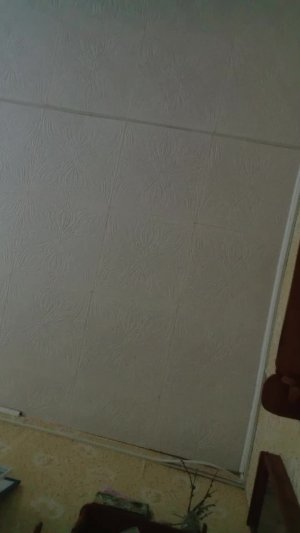 кокон