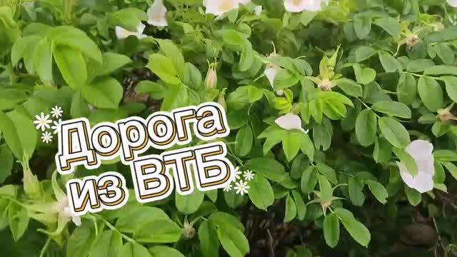 10.06.26🎉Мечтаю, вдохновляюсь🎉