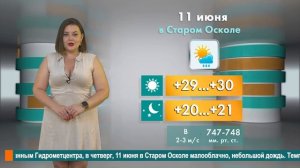 Погода в Старом Осколе на 11 июня