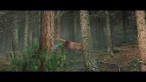 Трейлер фильма «Дети леса» (2024)