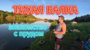 ТИХАЯ БАЛКА (Знакомство с прудом)