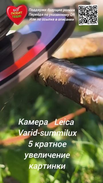 Камера LEICA на смартфоне XIAOMI снимает работу болгарки DeWALT смотреть онлайн