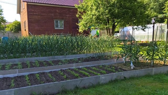 На вопрос почему???
Волшебной таблетки нет. смотреть онлайн