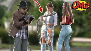 CHIPS SNAKE PRANK - ДЕДУШКА ПРРАНК
