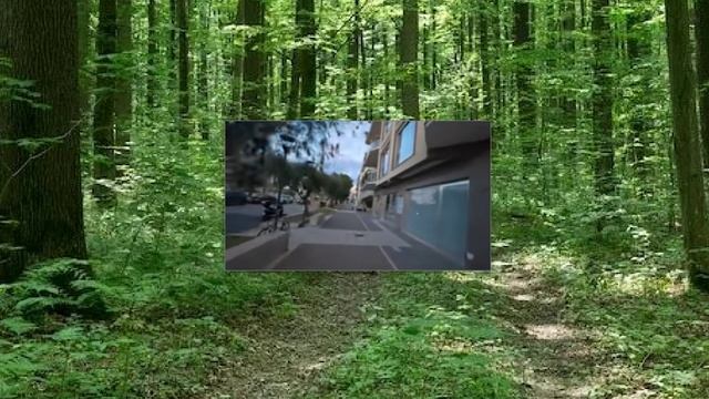 Аня Колобок. АМНИСТИЯ НА ФИЛЬТРАЦИЮ ШЕРЕМЕТЬЕВО смотреть онлайн