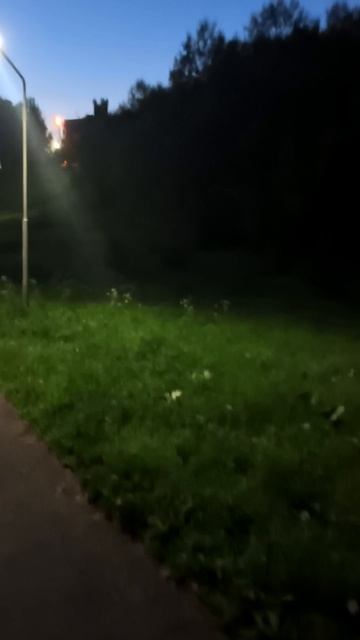 Вечерний парк смотреть онлайн