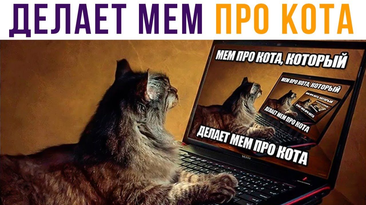 МЕМ ПРО КОТА, КОТОРЫЙ... Приколы смотреть онлайн