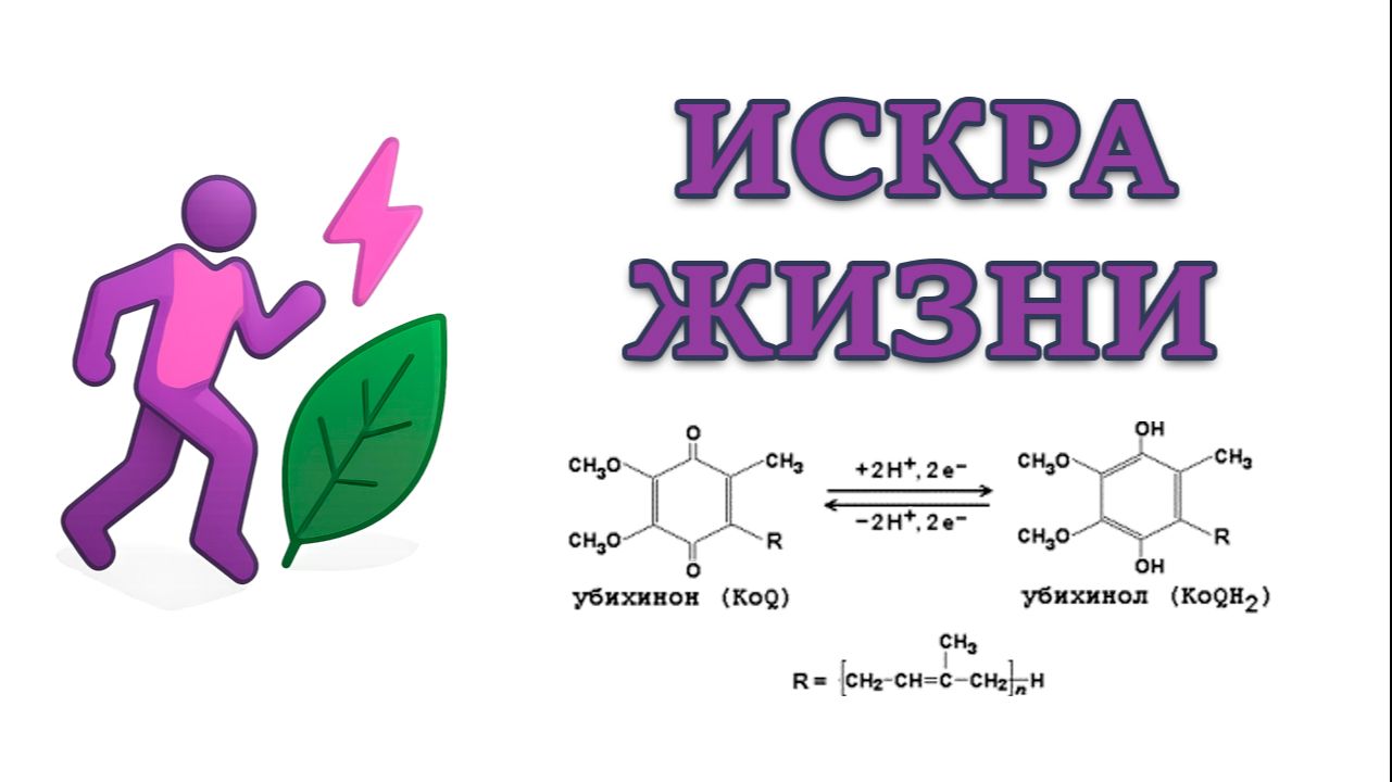 Искра жизни