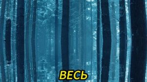 Истории из жизни | Аудио рассказы | В кладовке бабушки лежали её романы. Она   | Жизненные истории