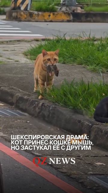 Шекспировская драма