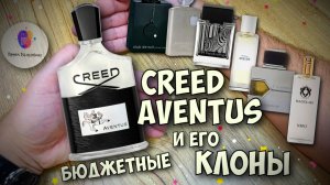 CREED AVENTUS И ЕГО БЮДЖЕТНЫЕ КЛОНЫ - СТОИТ ЛИ ПЕРЕПЛАЧИВАТЬ В 10 РАЗ??? - СРАВНИТЕЛЬНЫЙ ОБЗОР