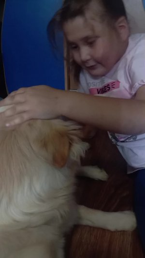 жизнь моей собаки 3