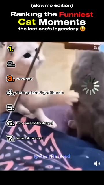 PLS DON'T CHECK THE SOUND 😭😭
