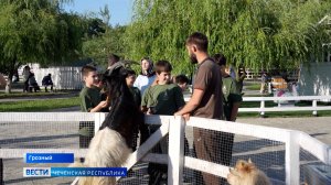 Вести Чеченской Республики 09.06.2026