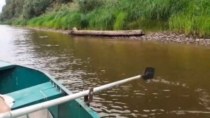 ищу рыболовные снасти на речке часть 3