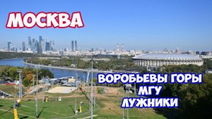 Прогулка по Москве. Воробьевы горы. МГУ. Смотровая площадка на Воробьевых горах. Лужники