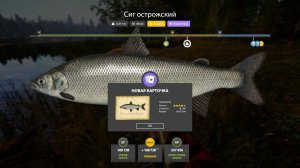 САМЫЕ ИНТЕРЕСНЫЕ РАЗДАЧИ ФАРМА И ТРОФЕЕВ НА 10.06 ОБЗОР ВОДОЕМОВ В РУССКОЙ РЫБАЛКЕ 4 РР4
