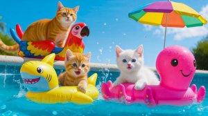Мама-кошка подстригает шерсть на ферме и делает тигровую шапку для котят дома🐾🎩🐯