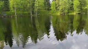 Природа. Релакс. Музыка от ИИ.