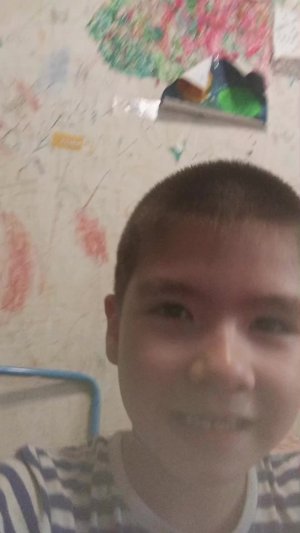 жизнь моей собаки 3