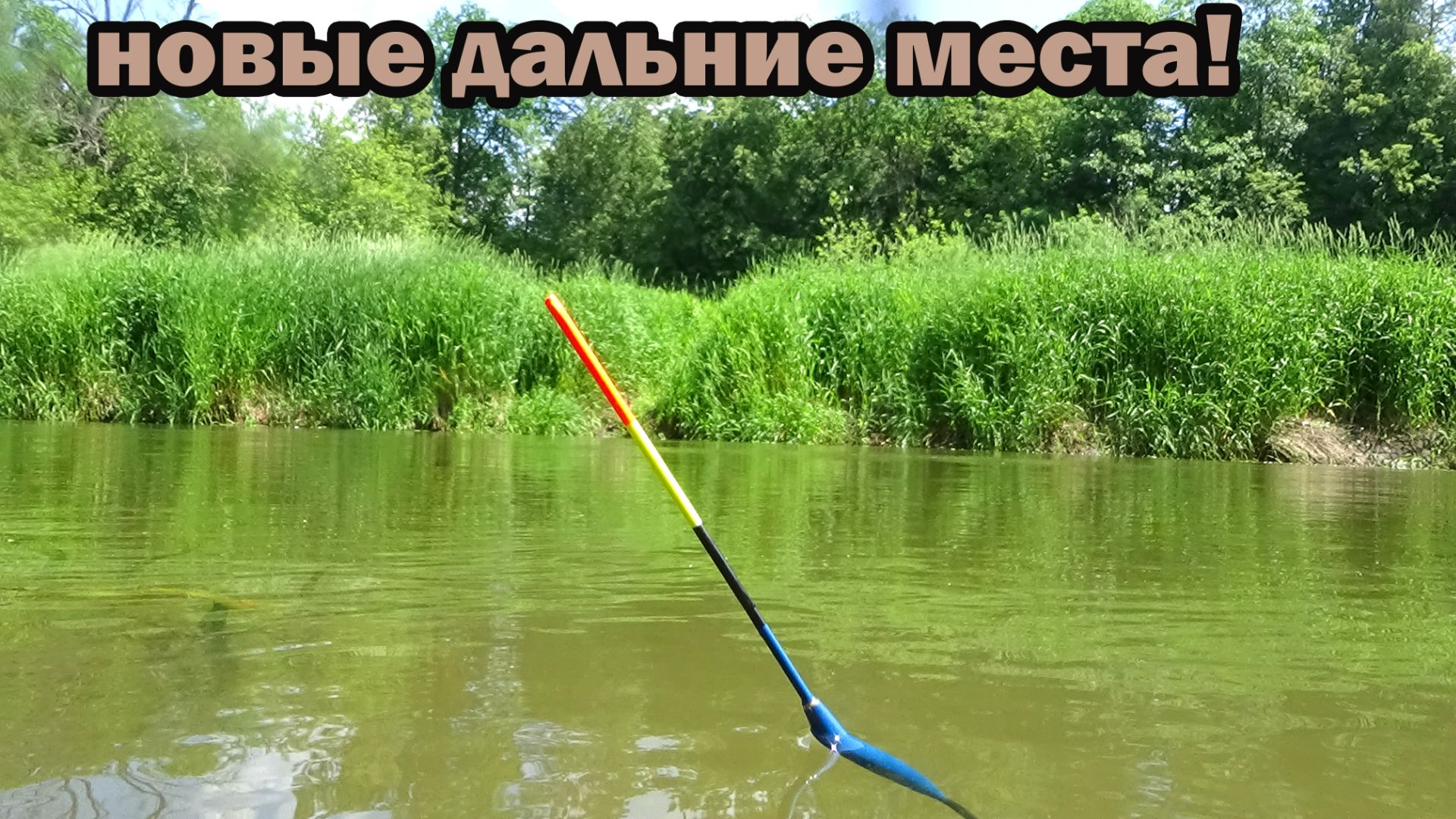 Рыбалка 9 июня на поплавок на малой реке в дальних местах и появились новые знания по этой теме! смотреть онлайн