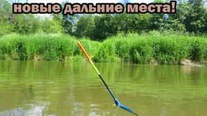 Рыбалка 9 июня на поплавок на малой реке в дальних местах и появились новые знания по этой теме!