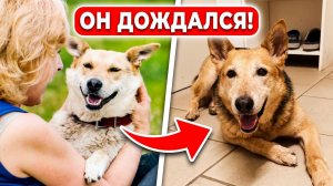Долгий путь к счастью. Целых 11 лет!