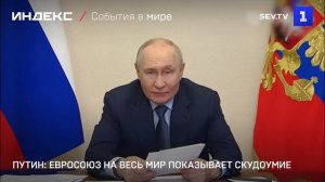 Путин: Евросоюз на весь мир показывает скудоумие