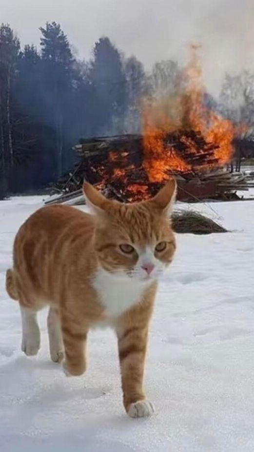 Анекдот 1